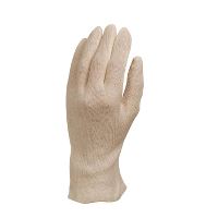 Cotton Glove, size 10