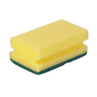 Green-Tex® Nylon sponge, green, big, pack of 5