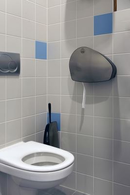 WeCare® Dispenser, jumbo toilet paper, stainles steel