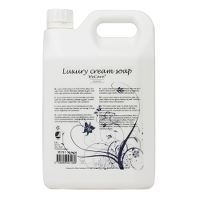 WeCare® Luxury Creme Soap, Nordic Swan Ecolabel, no perfume, 2.5 L