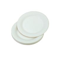 Gastrolux® Plate, large, 23cm, pap