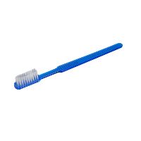 Tooth brush blue adult
